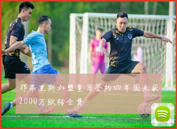邓弗里斯加盟皇马签约四年国米获2000万欧转会费